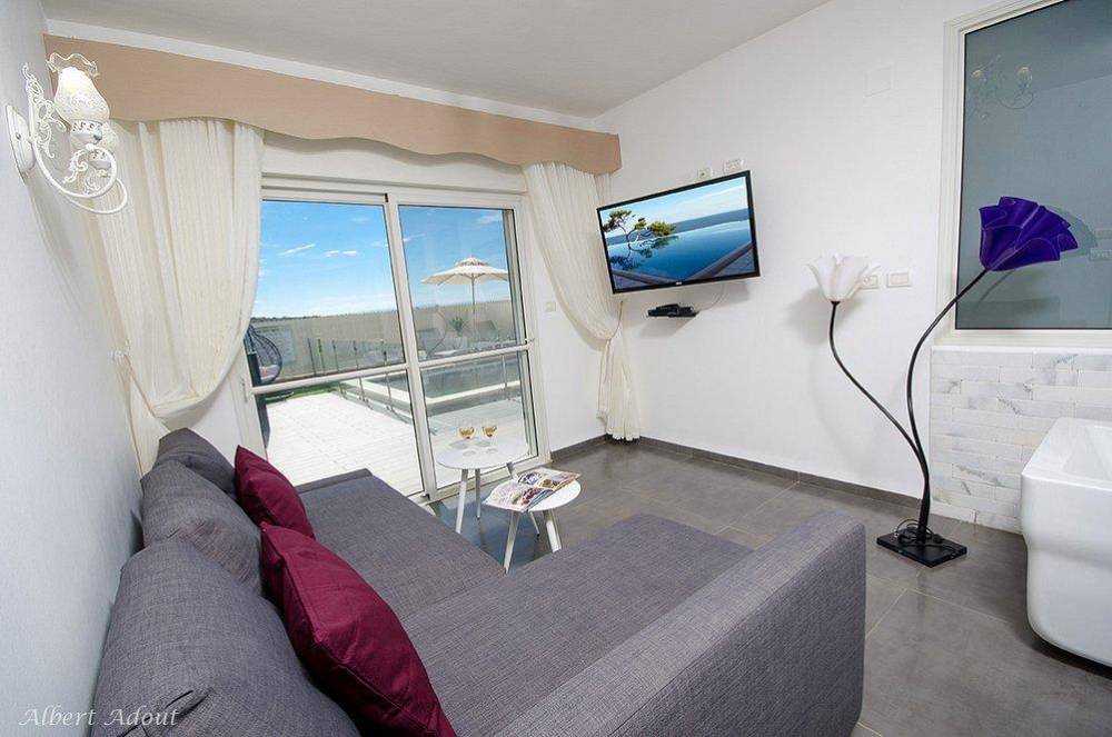 11252 גלריה כללית, וילה כינור דוד המלך, וילה  במנות וילות - Vila 4 U