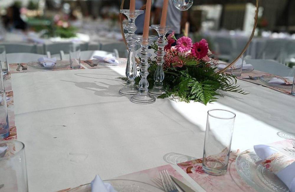 132829 גלריה כללית, הוילה במשמר השבעה, וילה  במשמר השבעה וילות - Vila 4 U