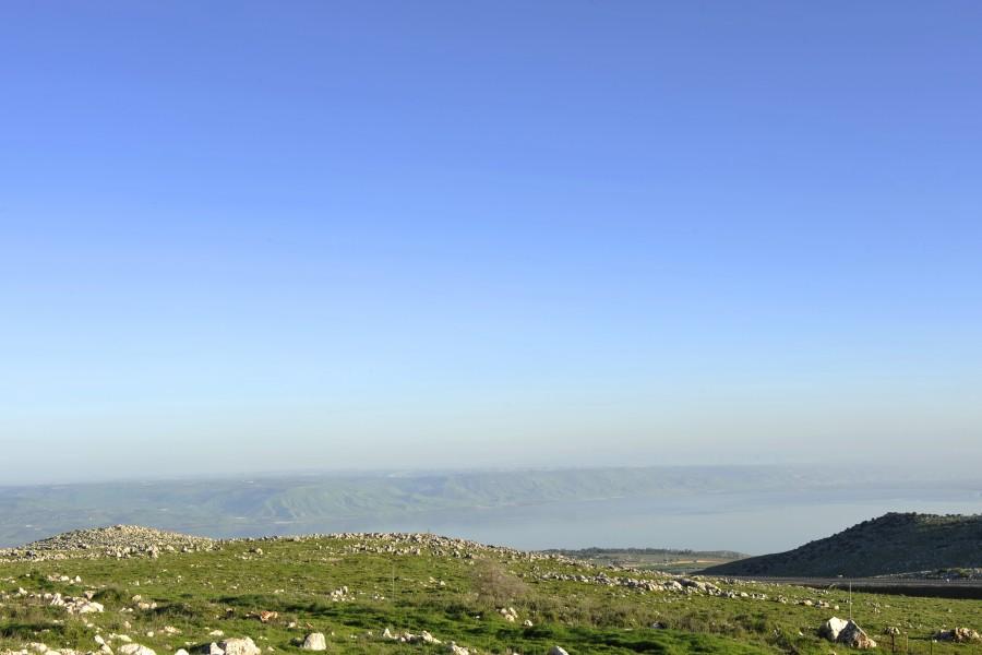 140463 חצר ובריכה, וילה נוף מולדת, וילה  בראש פינה וילות - Vila 4 U
