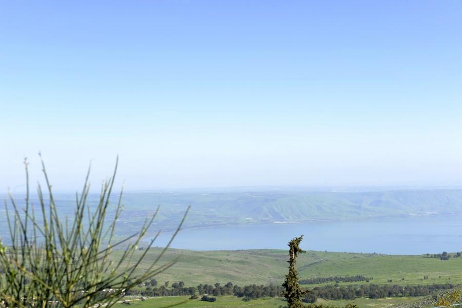 140464 חצר ובריכה, וילה נוף מולדת, וילה  בראש פינה וילות - Vila 4 U