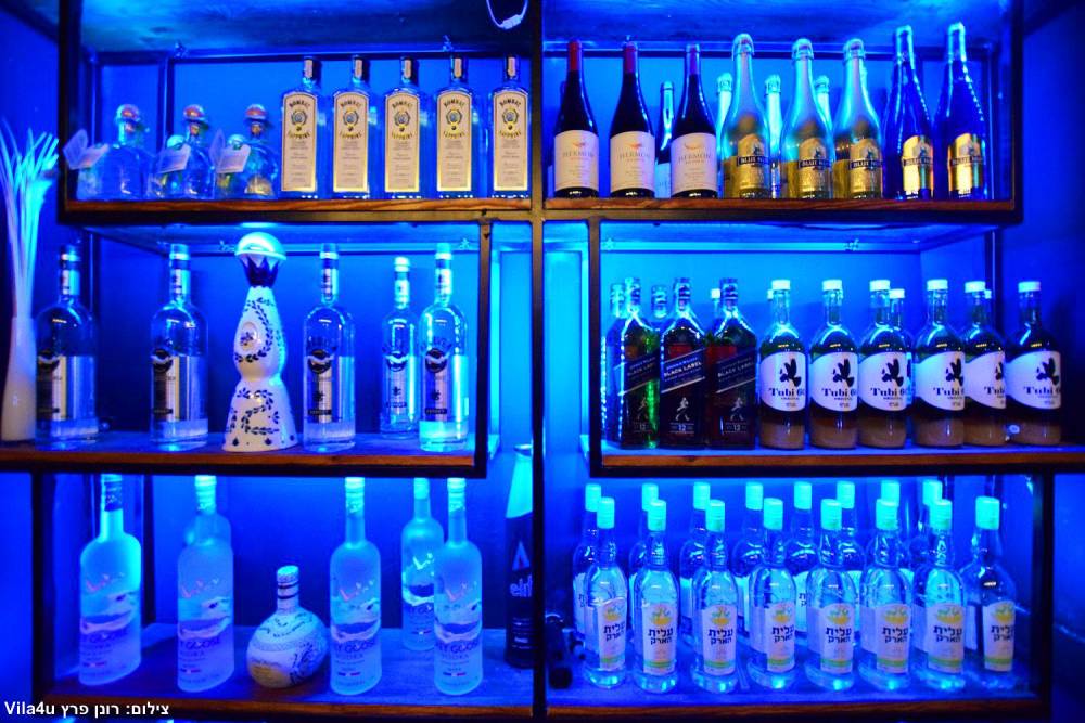 163955 כללי, לופט פרדייס, וילה  בראשון לציון וילות - Vila 4 U