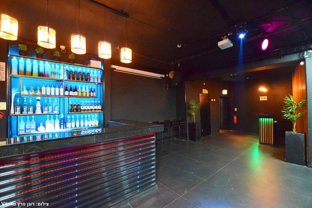 163973 כללי, לופט פרדייס, וילה  בראשון לציון וילות - Vila 4 U