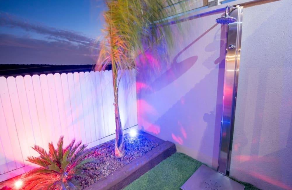 183945 גלריה כללית, וילה כינור דוד המלך, וילה  במנות וילות - Vila 4 U