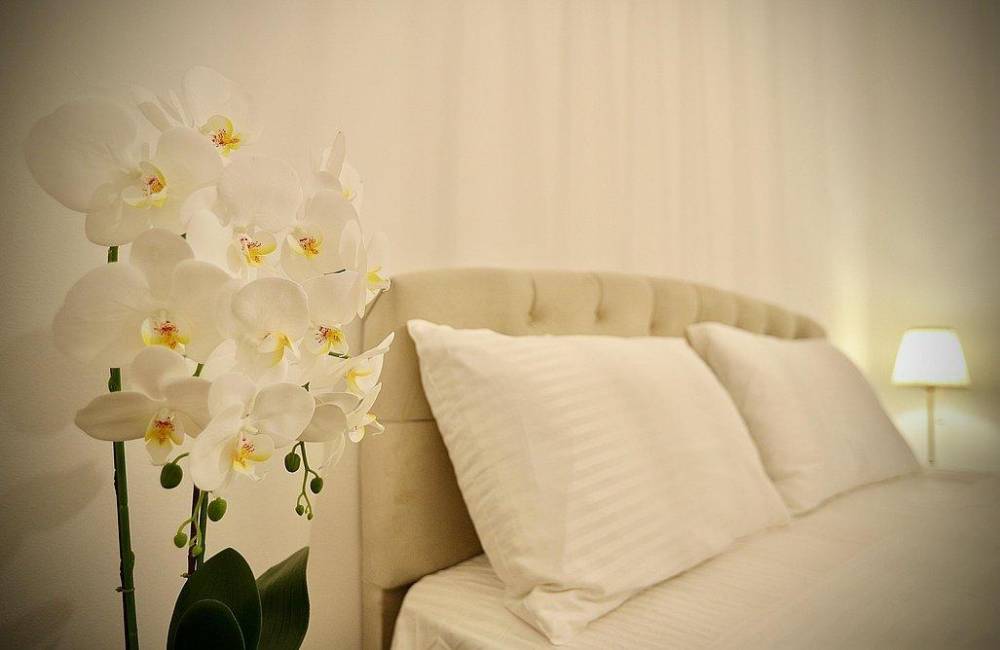 189180 גלריה כללית, בית נופש בגלבוע, וילה  במגן שאול וילות - Vila 4 U