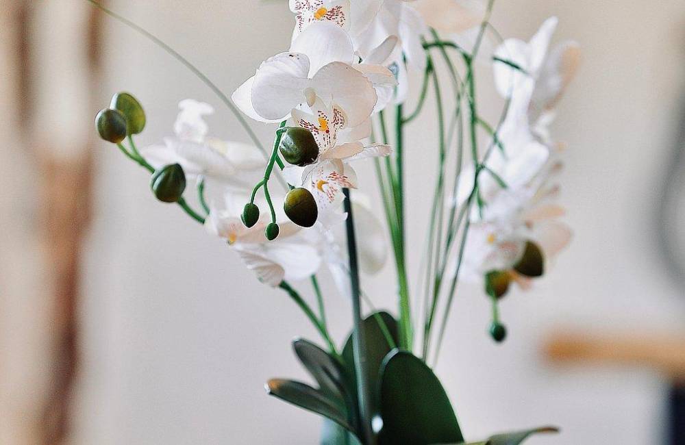 189220 גלריית פנים, בית נופש בגלבוע, וילה  במגן שאול וילות - Vila 4 U