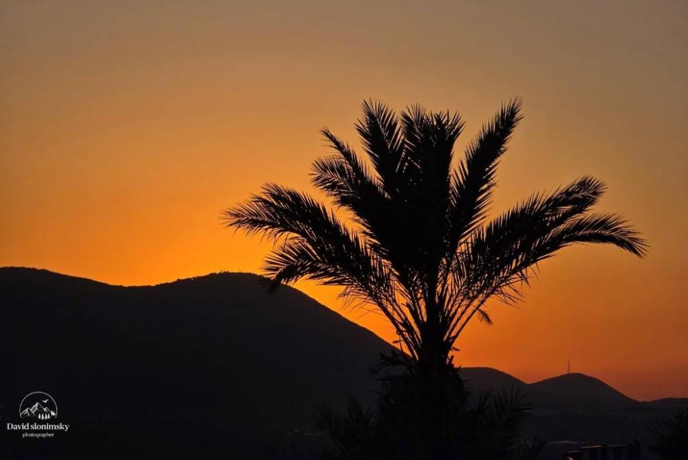 201699 גלריה כללית, אחוזת מן בוטיק, וילה  בצפת וילות - Vila 4 U