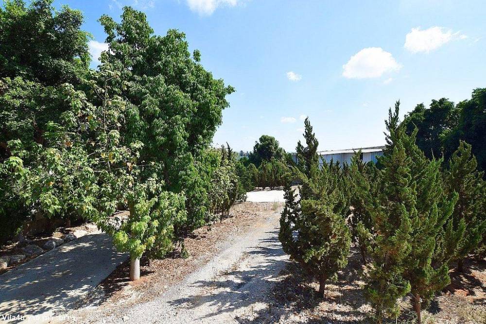 203698 גלריה חיצונית, אחוזת טפרס, וילה  בעמק חפר וילות - Vila 4 U