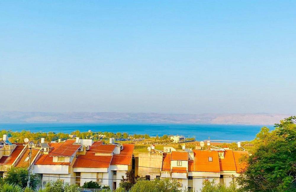 204986 חצר ונוף, וילת בית העץ במגדל, וילה  במגדל וילות - Vila 4 U