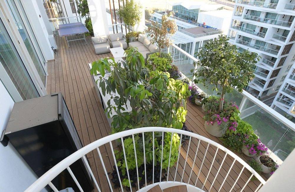 208663 Penthouse AH 42, פנטהאוז AH אילת, וילה  באילת וילות - Vila 4 U