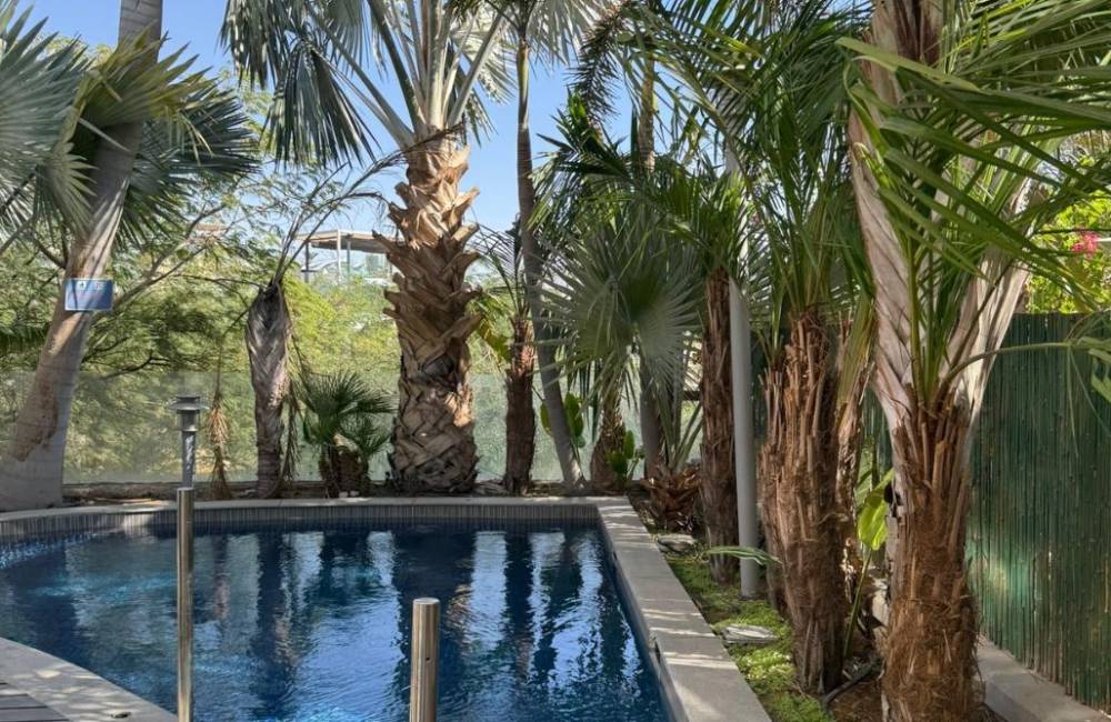 213587 גלריה כללית, וילה אלומת ספיר, וילה  באילת וילות - Vila 4 U