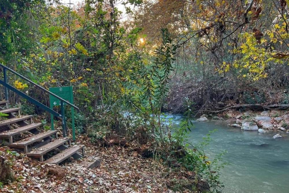 213616 סביבת המקום והנוף, וילה נוף להרים, וילה  בקרית שמונה וילות - Vila 4 U