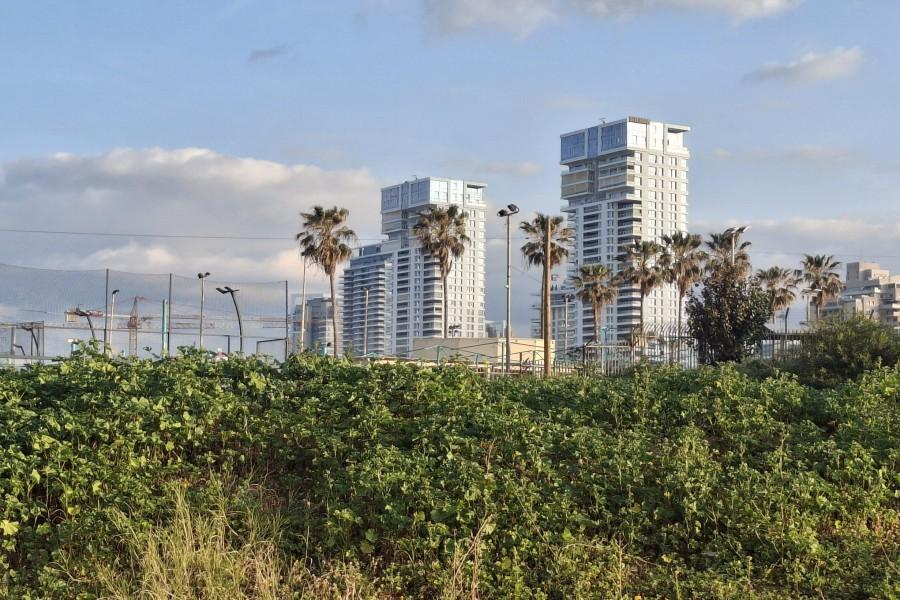 217144 מתחם חיצוני הבריכה והג'קוזי, כפר הים, וילה  בנתניה וילות - Vila 4 U
