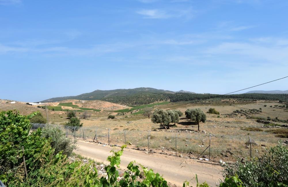 218987 מתחם האחוזה, אחוזת מרלו - MERLOT, וילה  בדלתון וילות - Vila 4 U