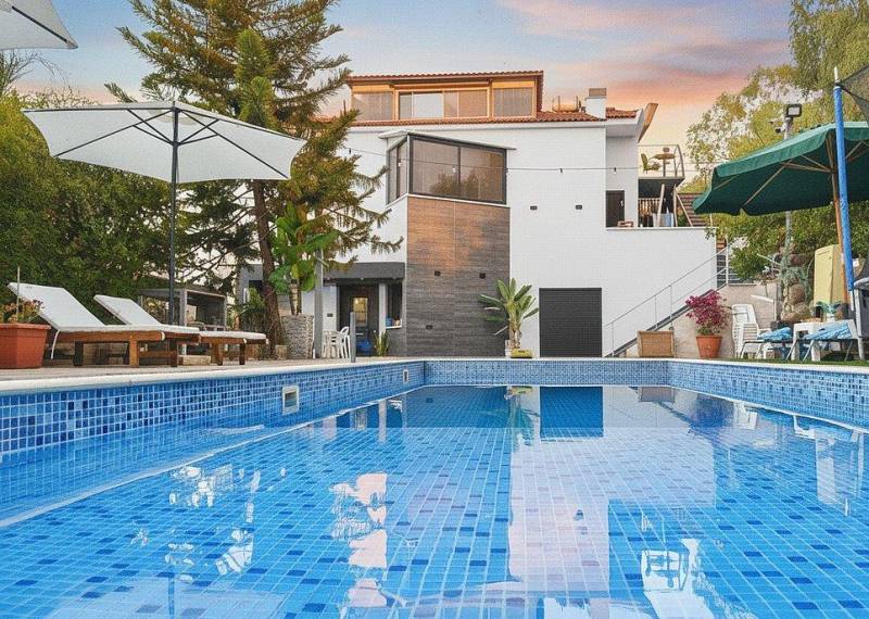 חדש באתר - אחוזת אלת הגליל