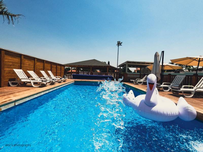 חדש באתר - וילה אמור בגליל